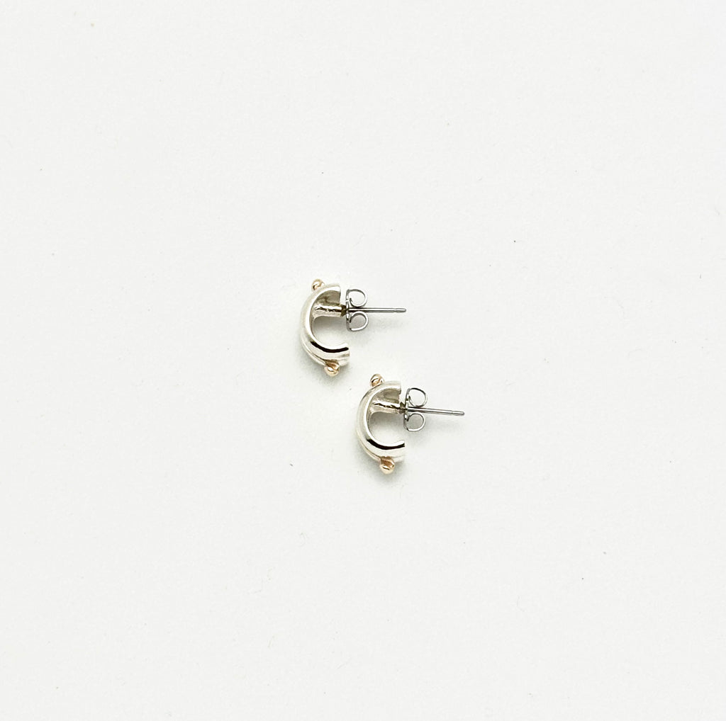 Gold and Silver Earrings