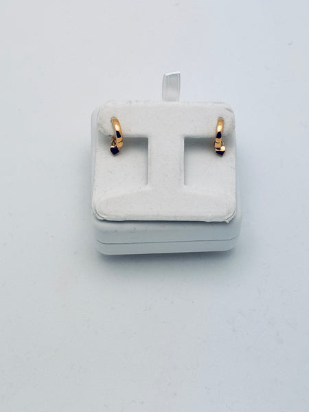 Tiny heart Enhancers and Hoops